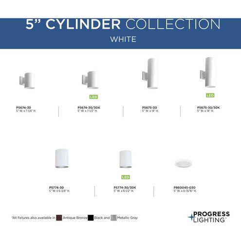 Cylinder 1 Light 5 inch White Outdoor Ceiling Mount Cylinder in Standard